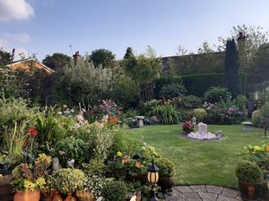 Photo 3- click for photo gallery